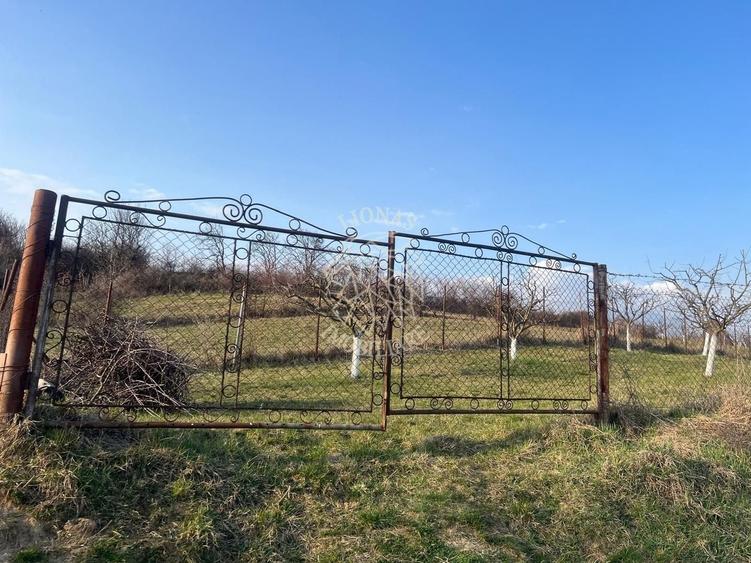 Teren Construcții intravilan de 3100 mp, în Mititei