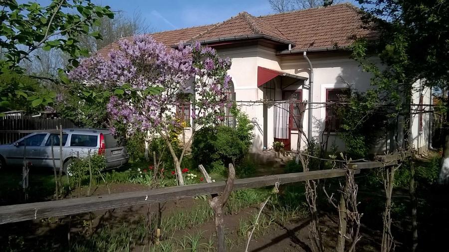 Casă cu 4 camere în Giubega