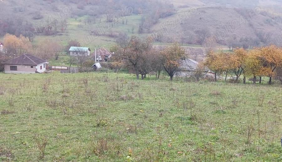 Teren de 7800 mp, în Sântejude