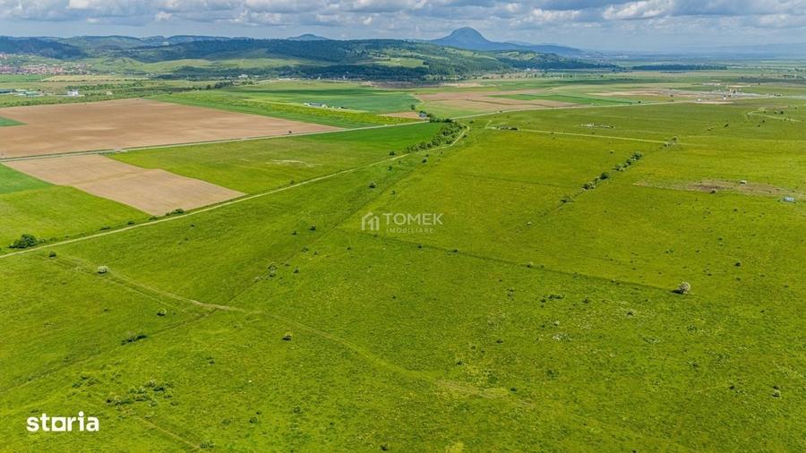 Spațiu comercial, în Tohanu Nou