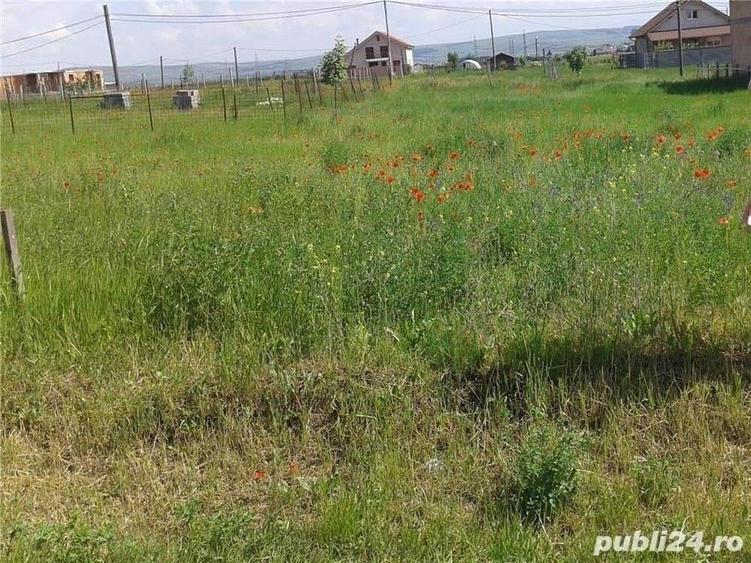Teren de 345 mp, în Central