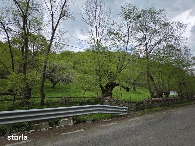 Teren de 3100 mp, în Râmeț