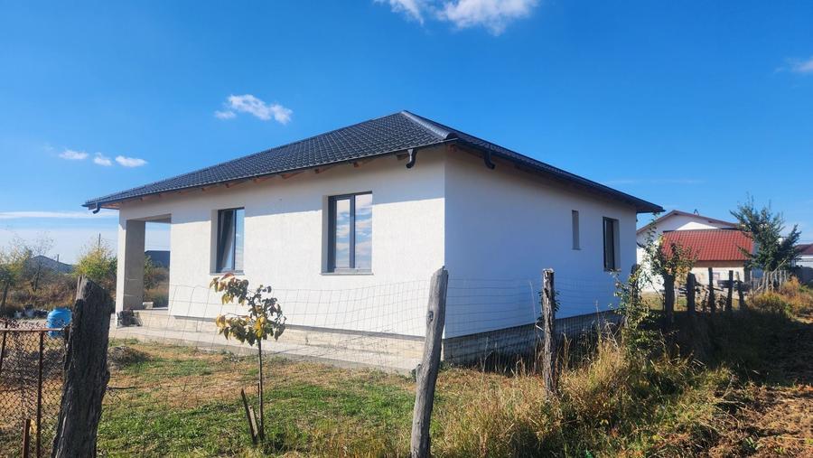 Casă cu 3 camere în Radu Negru
