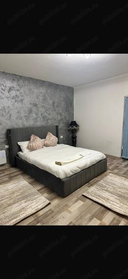 Casa de vanzare compartimentata in 3 apartamente - 3