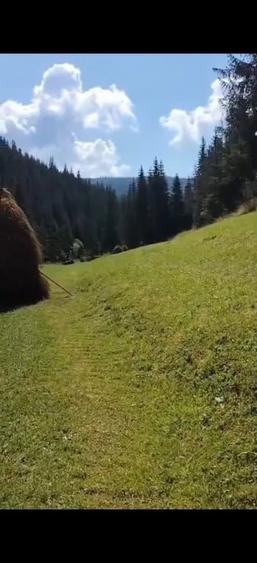 Teren de 4900 mp, în Poiana Horea