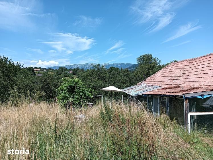 Teren de 3980 mp, în Bran
