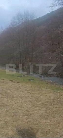 Teren Construcții extravilan de 1989 mp, în Iara