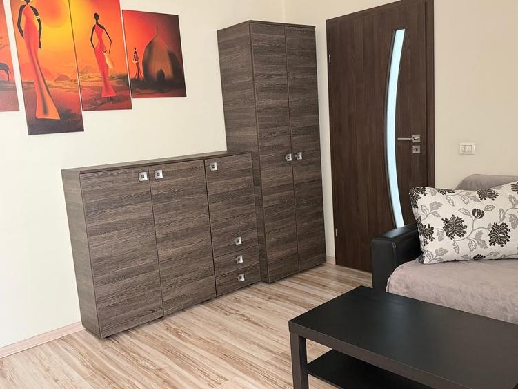 Apartament decomandat în Camil Ressu