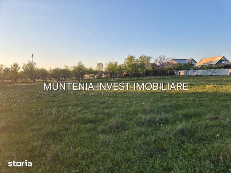 Teren de 3533 mp, în Poiana Lacului