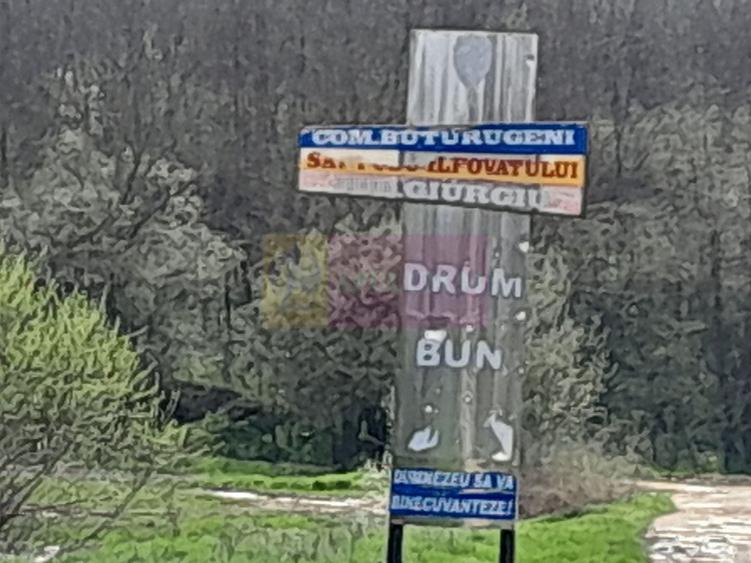Teren Construcții intravilan de 3400 mp, în Buturugeni