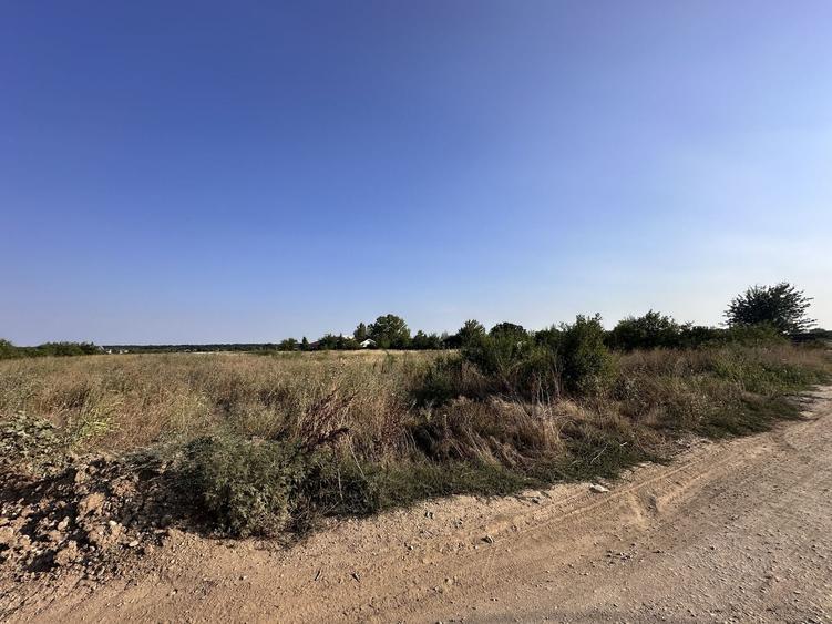 Teren Construcții intravilan de 3000 mp, în Tâncăbești