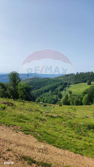 Teren de 128948 mp, în Negreni