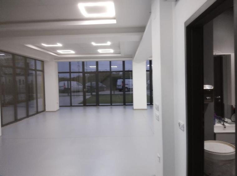 Spațiu industrial, de 460 mp, în Industriilor