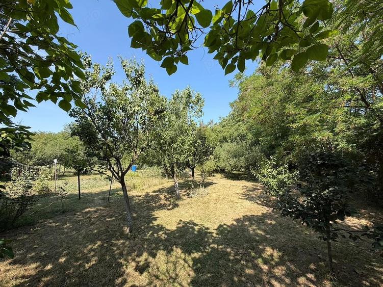 Casă cu Teren 1215 Mp în Ant