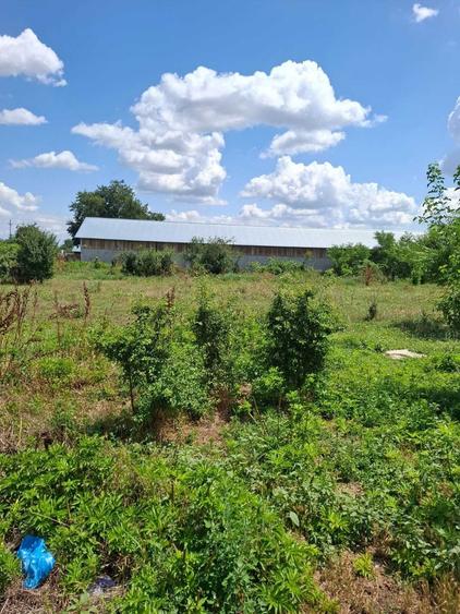 Casa de vanzare si teren Caracal, Jud Olt - 7