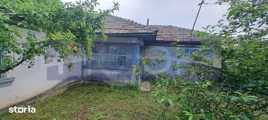 VANZARE CASA | TEREN 2500 MP | LIVADA SI VIE | SAT BREBINA SCRIOASTE - 5