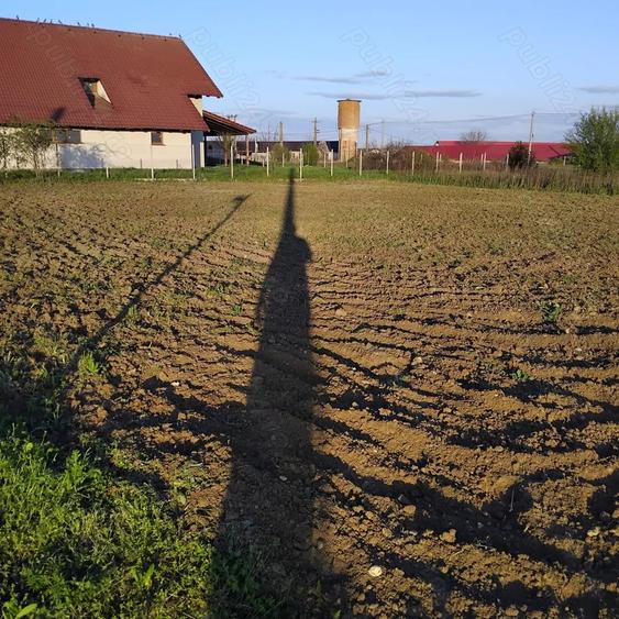 Teren de 600 mp, în Dudeștii Noi