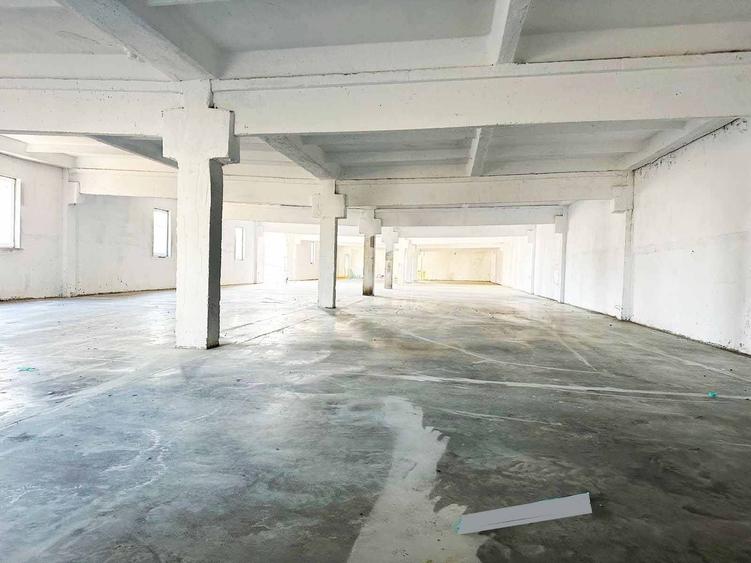 Spațiu industrial, de 250 mp, în Aluniș