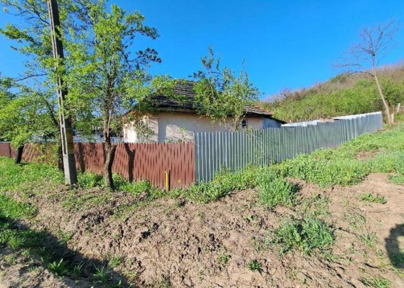 Casă cu 1 camere cu Teren 441 Mp în Licurici