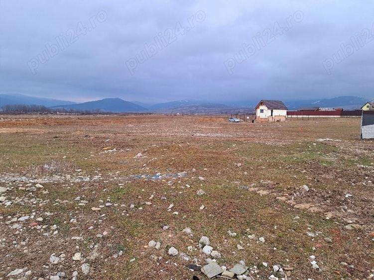 Teren Construcții intravilan de 1450 mp, în Cărpiniș