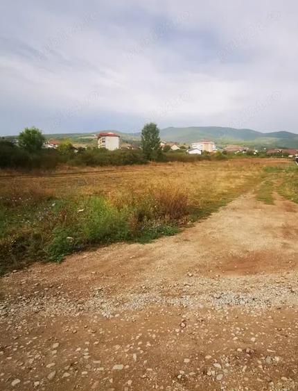 Teren de 5800 mp, în Cetate