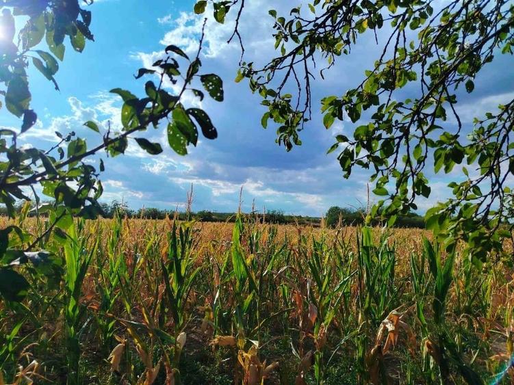 Casă individuală cu 3 camere cu Garaj în Supuru de Sus