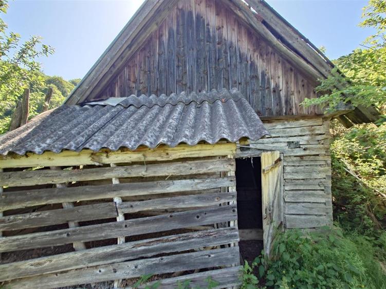 Casă individuală cu 3 camere cu Teren 13500 Mp în Blăjeni