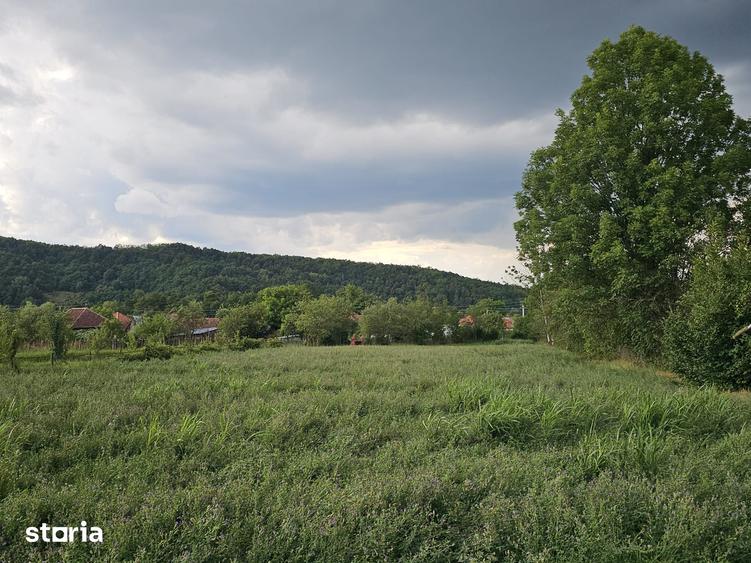 Casă cu 5 camere cu Teren 3498 Mp în Vața de Jos