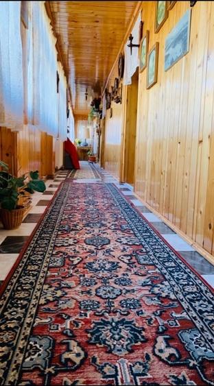 Casă individuală cu 4 camere cu Teren 5000 Mp în Remetea Mică