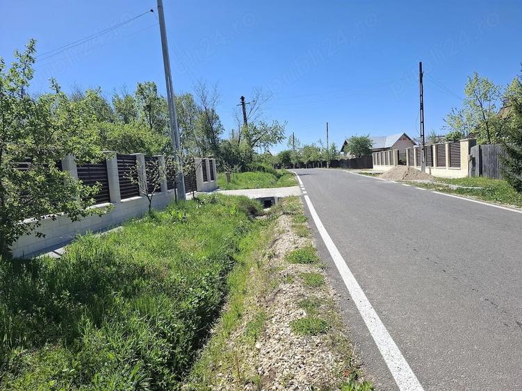 Teren de 4300 mp, în Vedea
