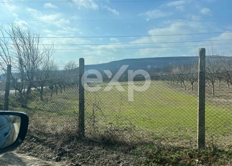 Teren Construcții intravilan de 3392 mp, în Călinești