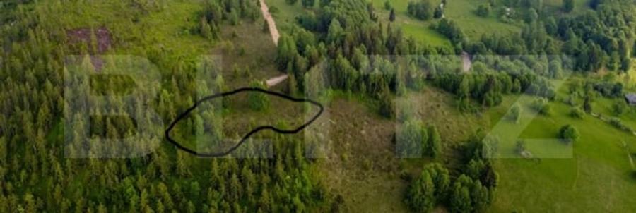 Teren Construcții extravilan de 3132 mp, în Arieșeni