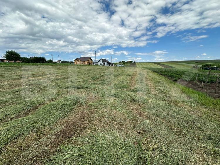 Teren Construcții intravilan de 2000 mp, în Nord-Vest