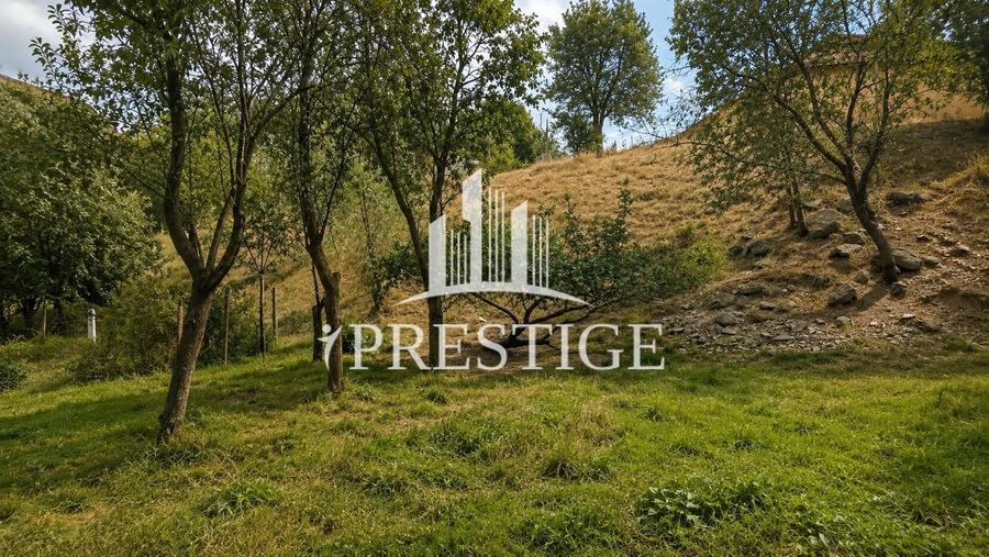 Teren agricol intravilan de 1100 mp, în Săcel
