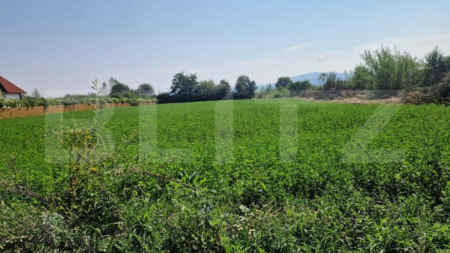 Teren intravilan de vanzare, 3800 mp, zona Vest - 4