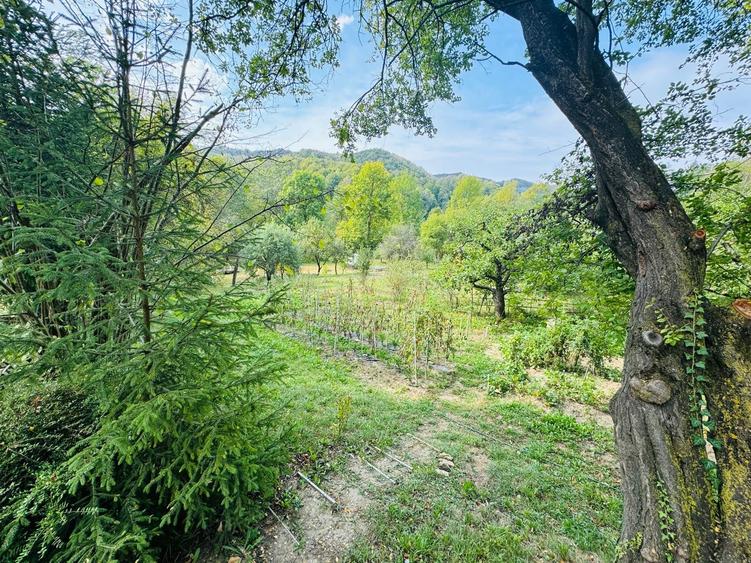 Casă individuală cu 10 camere cu Teren 6050 Mp în Vârfuri