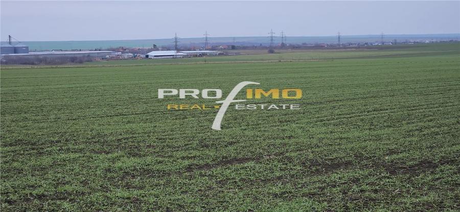 Teren agricol extravilan de 4200 mp, în Corbu