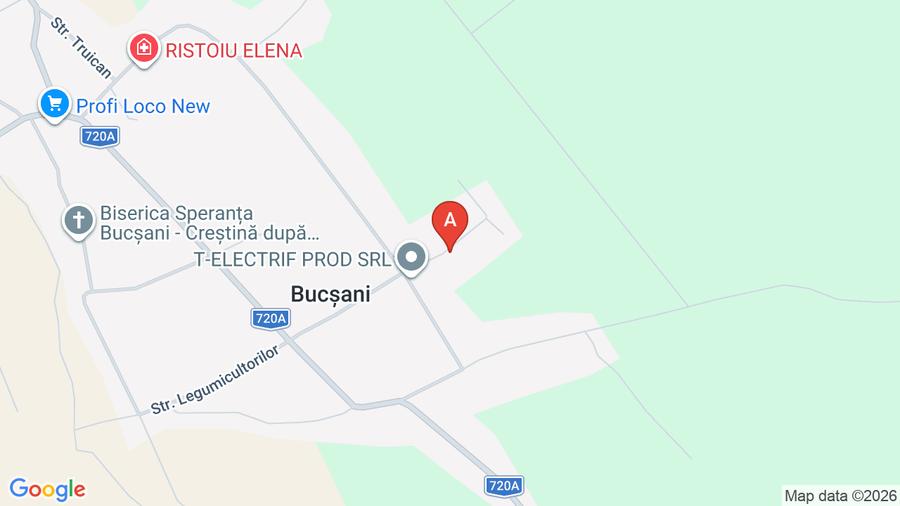 Casă individuală cu 3 camere cu Teren 2533 Mp în Bucșani