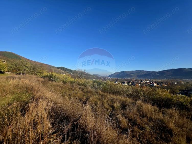 Teren de 6874 mp, în Alexandru cel Bun