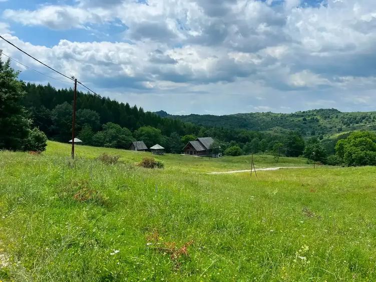 Teren intravilan de 46800 mp, în Gura Beliei