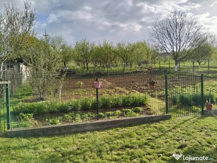 Casă cu 2 camere în Brănișca