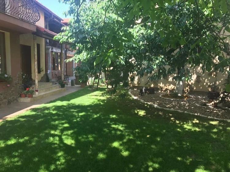 Casă cu Teren 1300 Mp în Lucian Blaga