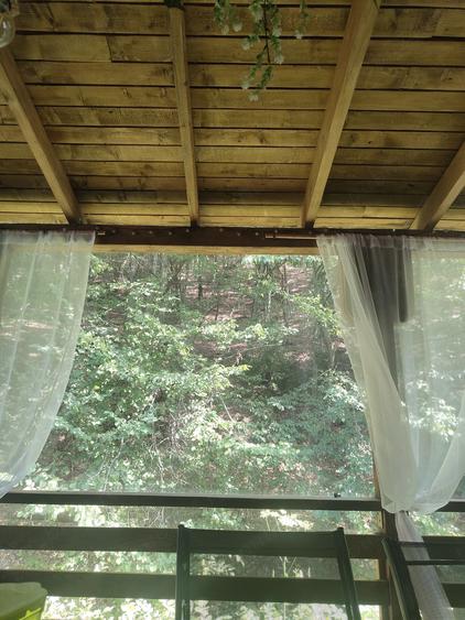 Cabana in zona de padure. - 1