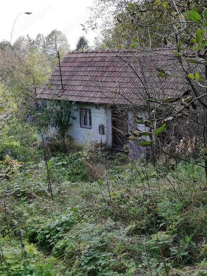 Teren de 11650 mp, în Valea Borcutului