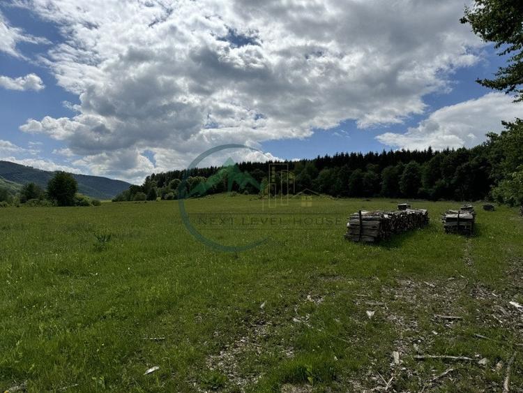 Teren Construcții intravilan de 34602 mp, în Valea Dobârlăului
