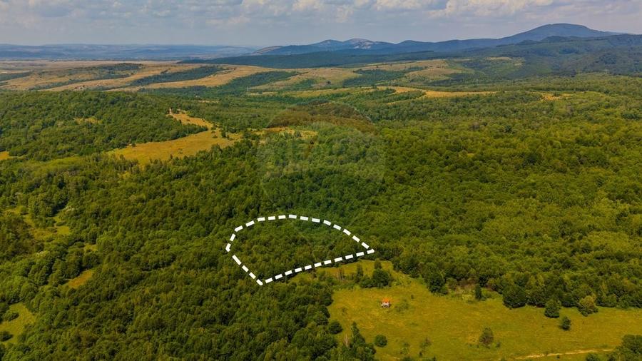 Teren Construcții intravilan de 6572 mp, în Grid