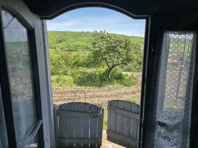 Casă cu Teren 1829 Mp în Erbiceni