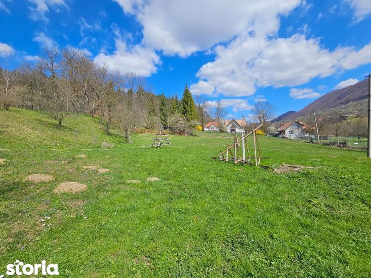 Oportunitate de Investi?ie: Teren Intravilan 2000 mp in Valea Doftanei - 2