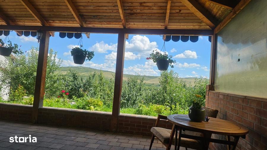 Casă cu 7 camere cu Teren 2870 Mp în Viișoara