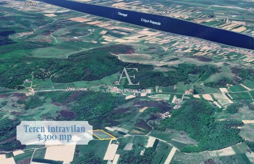 Teren de 5300 mp, în Uileacu de Criș